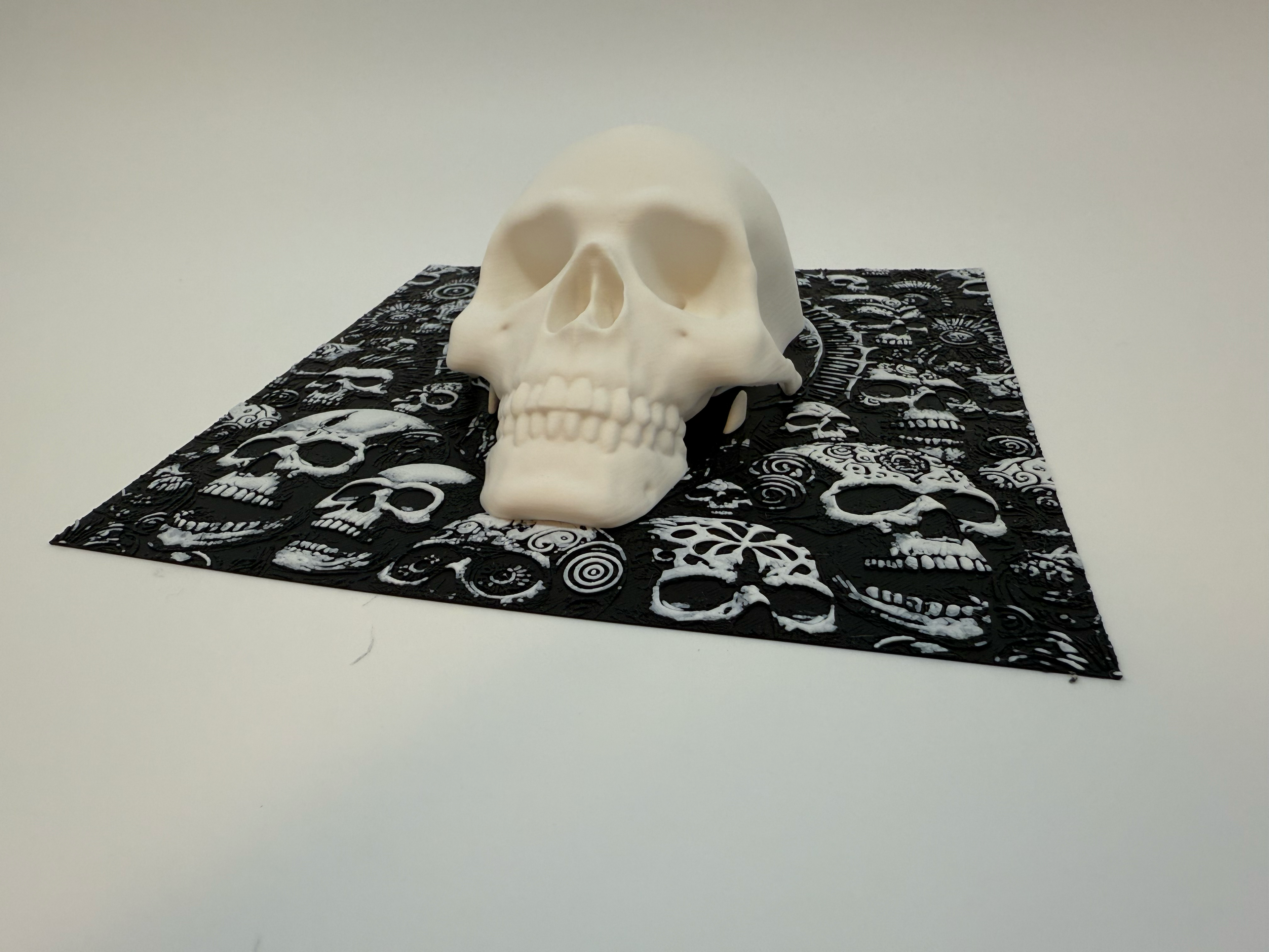 Menselijke Schedel Met Achtergrond - Premium Quality