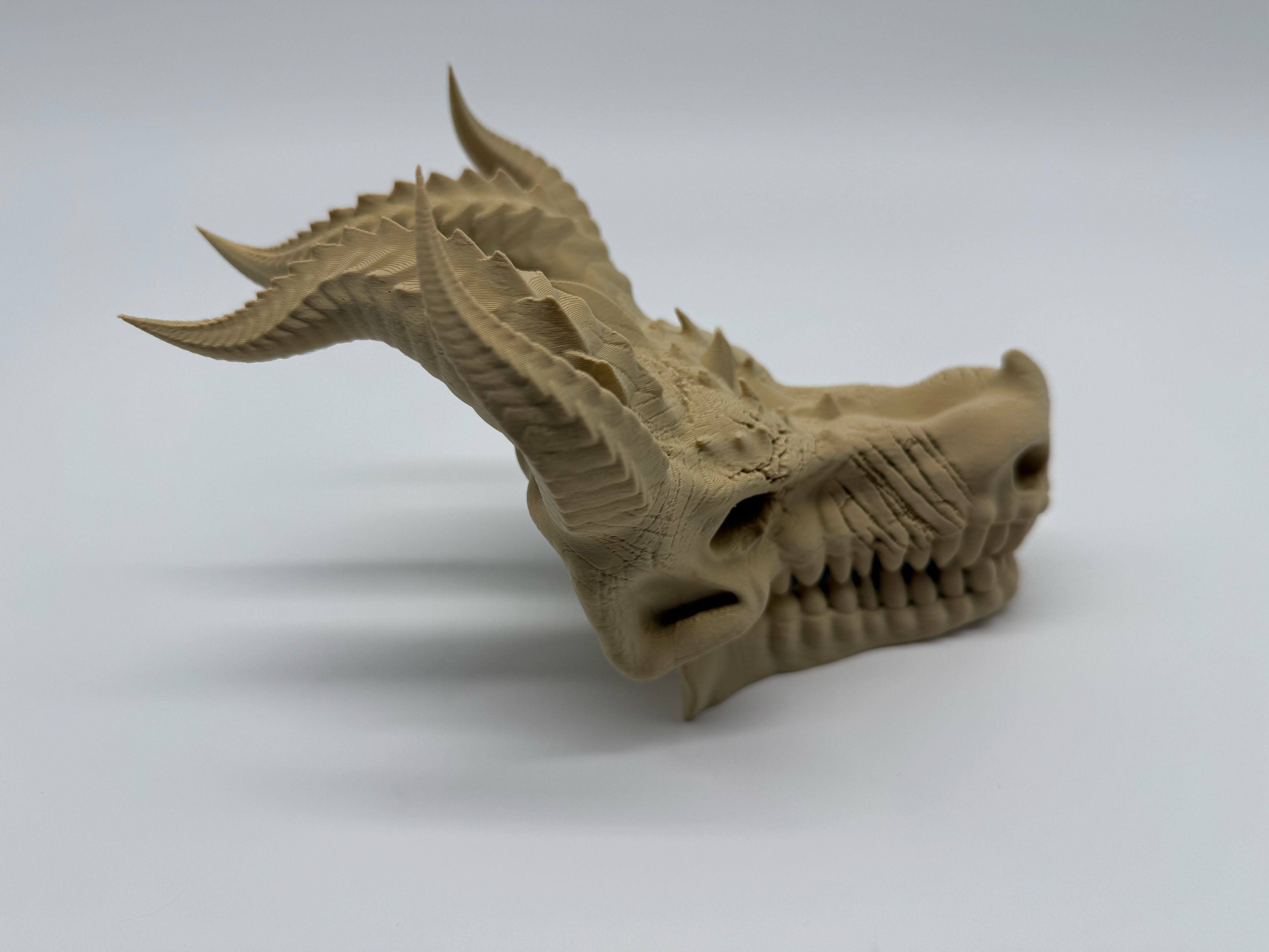 Draken Schedel -Premium Quality