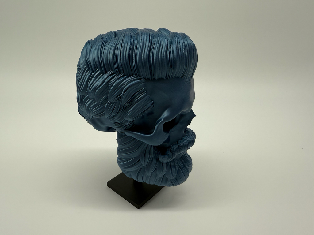 Menselijke Schedel Met Baard - Premium Quality