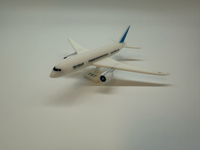 Boeing 787 Schaalmodel - Premium Quality