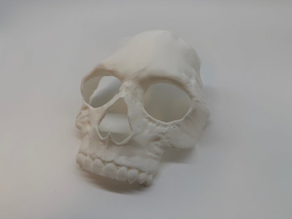 Schedelmasker – Realistisch en Gedetailleerd CoD MWII - Premium Quality