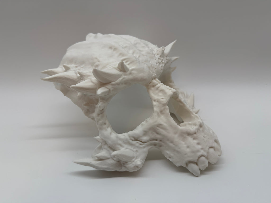 Demonische Schedelmasker - Premium Quality